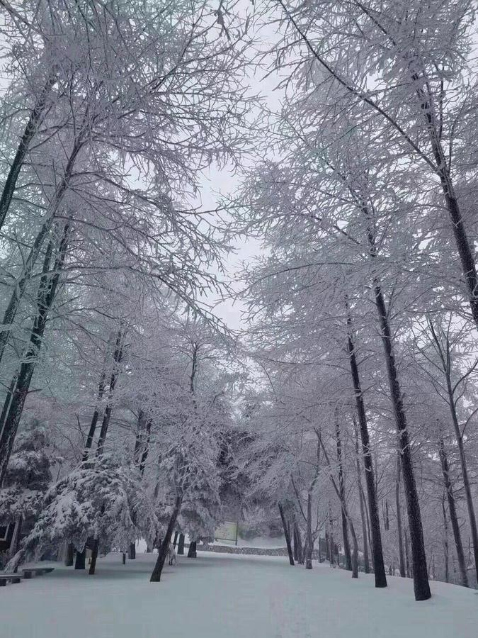 Mogan Mountain Xiaomusensen Villa Deqing Ngoại thất bức ảnh